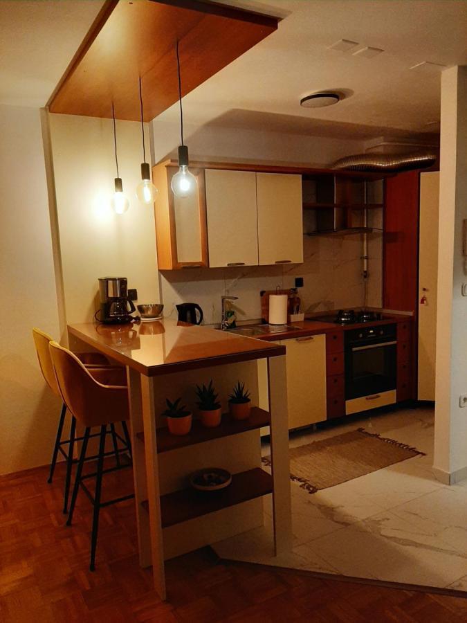 Apartment Relax With Infrared Sunshower Varaždin エクステリア 写真