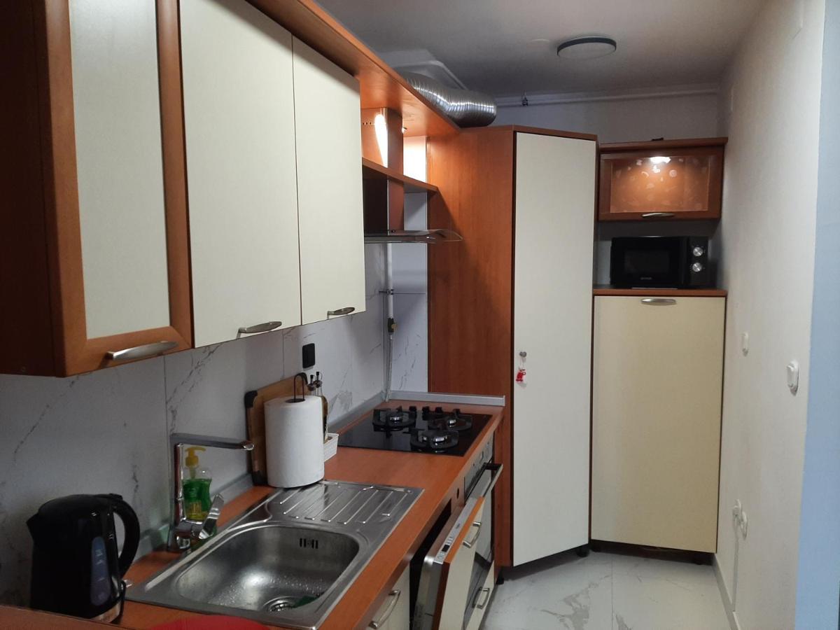 Apartment Relax With Infrared Sunshower Varaždin エクステリア 写真